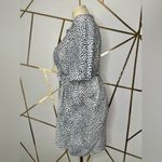 Topshop  Black and White Polo Collar Shirt Dress(879) Photo 5