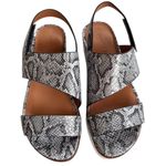 Gentle Souls NEW Leather Lavern Sandals Pewter Snake Snakeskin Size 8 Photo 1