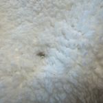 Madden Girl White Sherpa Jogger Set Star Accent Photo 10