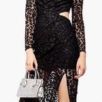 Topshop Black Cut Out Lace Floral Midi Bodycon Dress Photo 0