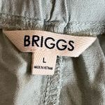 Briggs New York Briggs Linen Blend Mint Green Shorts Women’s Large Photo 3