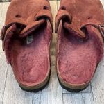 Birkenstock Unisex BOSTON SHEARLING Clog Mules EU 39 US 8 FUCHSIA Red Maroon Photo 4