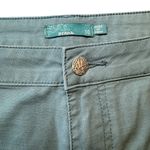 prAna  Olive Green Larissa Knicker Shorts Women Hiking Outdoor 10 Photo 1