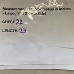 Kimchi Blue UO Womens Size XS Multicolor Lace Up Metallic Pullover Sweater Photo 5