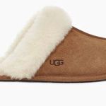 UGG Slippers Photo 0