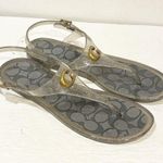 Coach  Silver Signature C NATALEE Jelly Thong Sandal Size 6B Women's NEW Photo 2