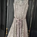 Betsy and Adam Silver Shimmer Lace Dress with Beaded Belt Size 2 Photo 1