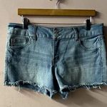 Charlotte Russe  Refuge Light Wash Mid Rise Shorts Size 12 GUC Photo 0
