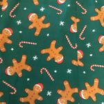 Modcloth Plus Size 16W Gingerbread Candy Cane Print Peter Pan Collar Green Dress Photo 7