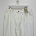 Madewell The Harlow Wide Leg Jean Airy Denim Baggy White High Waist US 31 NWT Photo 6