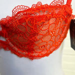 Frederick's of Hollywood Lace Balconette Bra 36B Adjustable Straps Bow Accent Photo 5