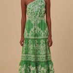 Farm Rio  Green Sweet Garden Maxi Dress M Photo 3