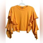 ZARA  Orange Ruffle Sleeve Statement Cropped Top Bold & Playful Sz M Photo 0