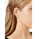 Vince Camuto ๐๐ Crystal Oval Stud Earrings NWT Photo 0