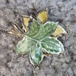 Green and Yellow Overlapping Leaf Shape Earrings Pierced Post Metal Vintage Photo 5