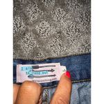 Nectar Clothing Nectar Denim Shorts Size L Photo 3