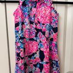 Lilly Pulitzer Girls'  Dress Photo 0