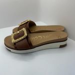 Sam Edelman Ariane Dark Bourbon Open Toe Buckle Flat Leather Slides Sandals 7.5 Photo 3