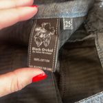 Black Orchid  Midnight Blue Cotton Shorts Photo 3