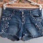 Amethyst Jeans Y2K  Denim Embroidered Blue Floral Button Fly Shorts Mid-High Rise #Fairycore #Whimsical #Cottagecore Beach #Boho #Hippie Indie Summer-Size 20  Photo 0