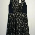 Charter Club NWT  Winter Elegance Deep Black Midi Fit & Flare Dress Photo 0