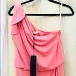 Halston Heritage NWT PINK  Maxi Dress (size 4)beautiful prom/wedding/formal/party Photo 2