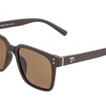 Sixty One S1xty One Unisex Brown Sunglasses Photo 0