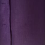 Purple Button Photo 2