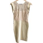 BCBGMAXAZRIA Aimee Dress Taupe Cream Lace Size 4 Photo 2