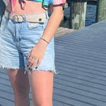American Eagle Outfitters Highwaisted Shorts Photo 2