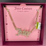 Juicy Couture  Rhinestone Necklace Photo 1