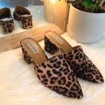 Steve Madden Cheetah Print Mules Photo 0