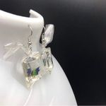 Beautiful Tropical Fish Earrings Photo 2