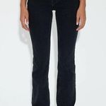 Cotton Citizen  Cindy Jean Photo 0