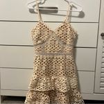 Lulus Lulu’s Beauty and Lace Pale Blush Crochet Lace Mini Dress Photo 1