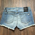 Black Orchid  Liquify Shorts Photo 2