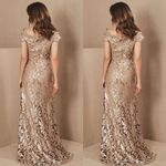 BHLDN 💯% Tadashi Shoji Odette T Dress SZ 16, 12 ,8, 4 ,2 Photo 4