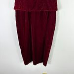 Talbots  Dress 6 Red Velvet Burnout Midi Vintage Whimsigoth Holiday‎ Romantic 90s Photo 3
