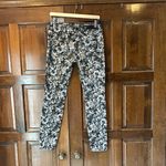 Seven7 Pants Leggings Size 4 Black White Floral Rose Print Seven 7 Photo 1