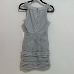 BCBGMAXAZRIA Annie Pearl Gray Lace Tulle Ruffle Mini Dress Size 0 Photo 8