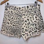 KANCAN Leopard Print Women's Shorts 97% cotton Thank Black Photo 0