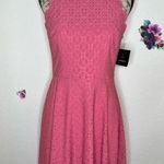 Fortune + Ivy Sleeveless Evelynn Scallop Eyelet Lined Knit Dress in Dark Pink Sz M Photo 0