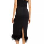 Black Feather Dress Size XS Photo 1