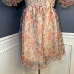 Endless Rose Puff Sleeve Mini Dress Photo 10