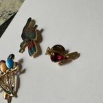 Lot Of 3 Bird Brooch Pins Enamel Parrot, Rhinestone Cardinal, Rhinestone Parrots Photo 4