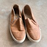 Source Unknown Tan Slip Photo 1