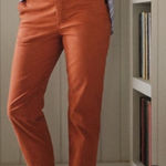 Frank & Eileen  Wicklow Italian Chino Straight Leg Pants Mid Rise Rust Size 6 Photo 0