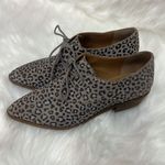 Lucky Brand Erreka Lace-Up Leather Oxford Titanium Romo Leopard Size 7.5 BIN 16 Photo 2