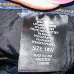 Tahari  Chloe Fit Solution Plus Size Skinny Jeans Photo 4