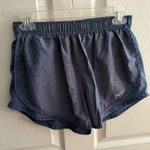 Nike  Dry Fit Running Shorts Photo 0